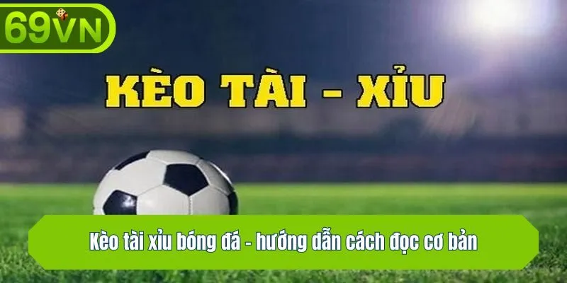 Kèo tài xỉu - hướng dẫn cách đọc cơ bản
